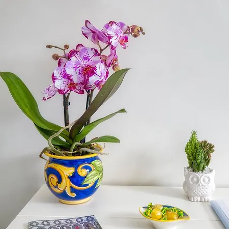 Don Vincenzo House Ravello